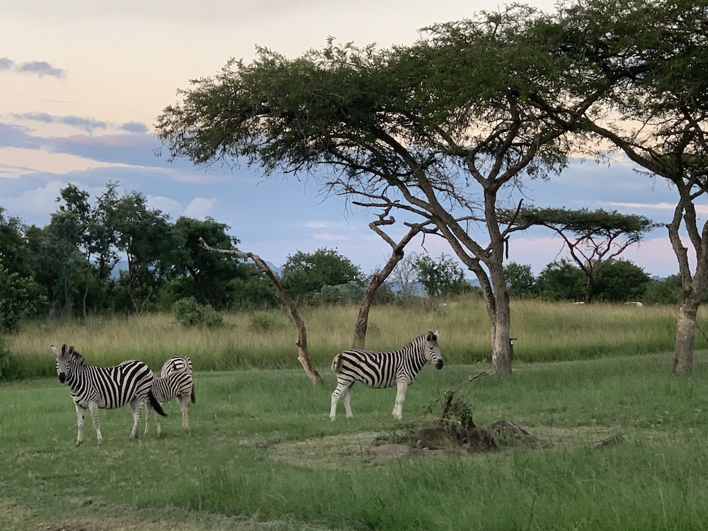 Ndhula Luxury Tented Lodge 42/48