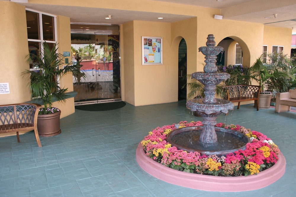 Peacock Suites 6/47