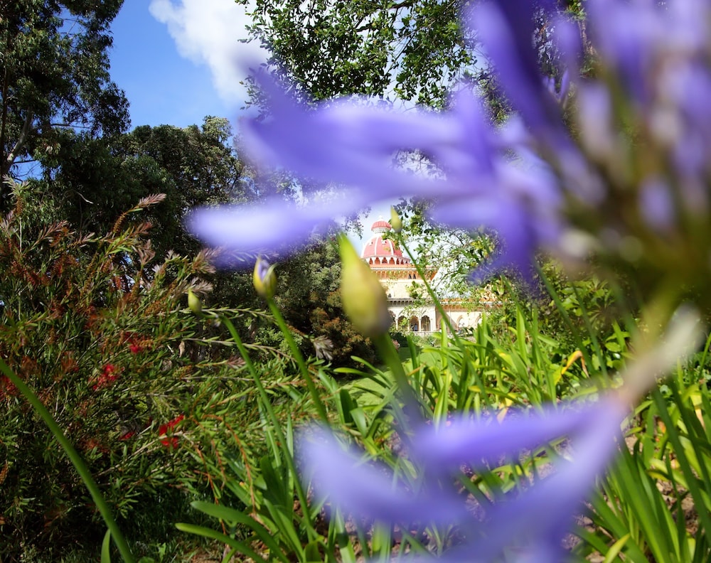 Sintra Boutique Hotel 66/69