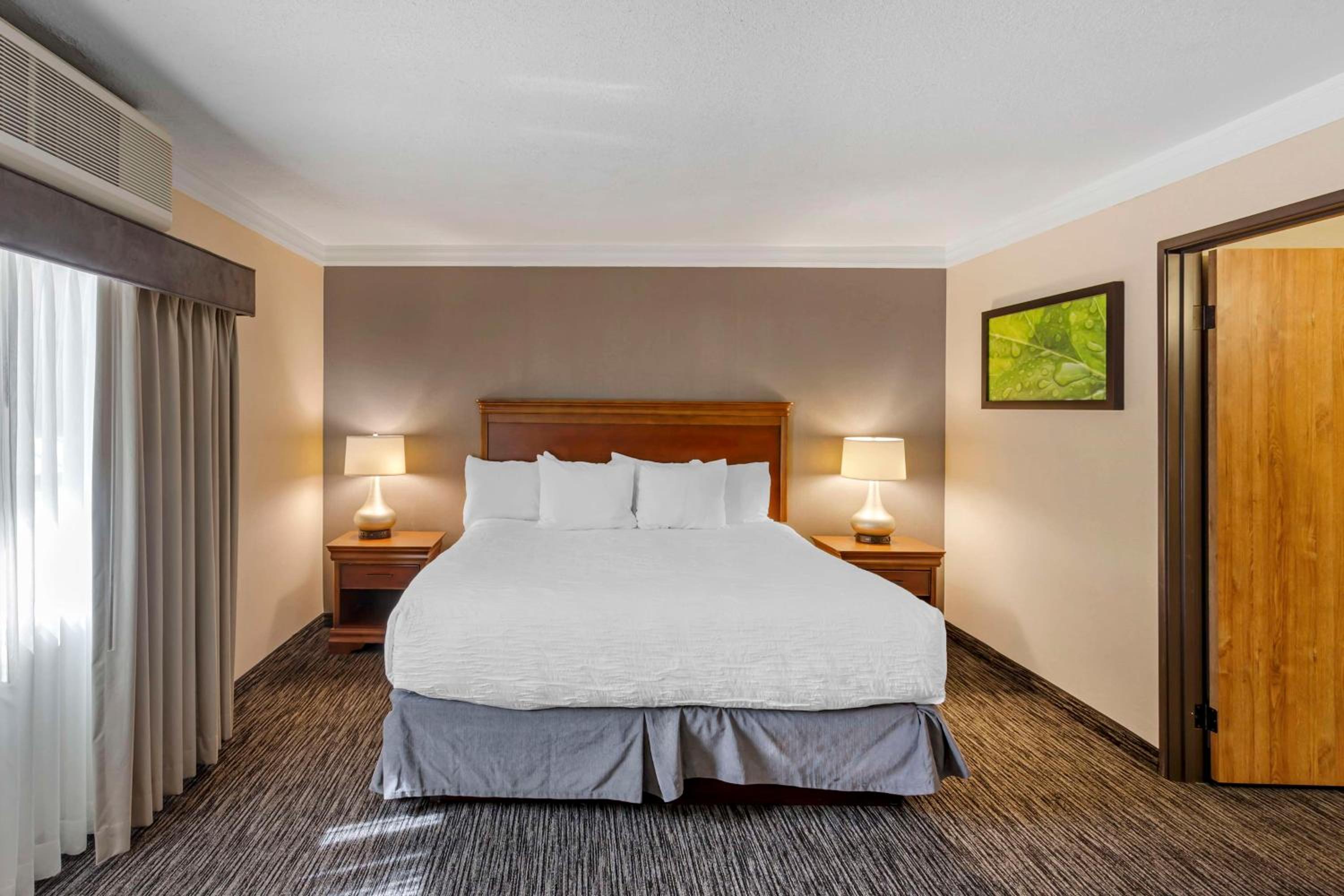 Suite, King Bed, Living Area