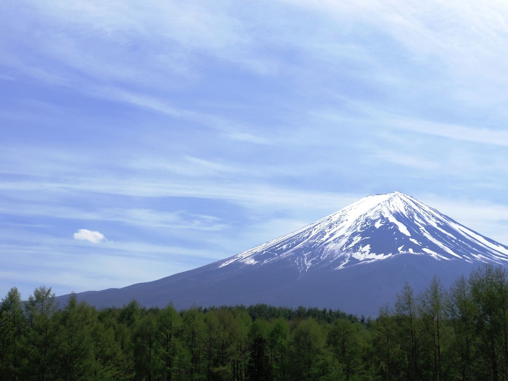 The Gran Resort Princess Fujikawaguchiko 45/46