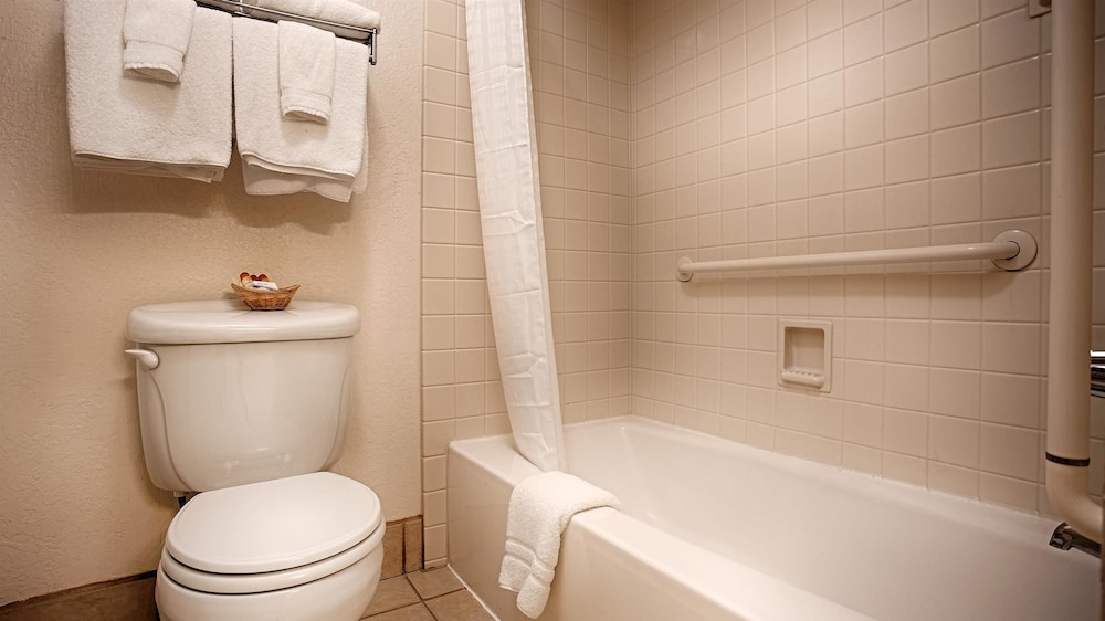 Best Western Sandman Hotel 17/37
