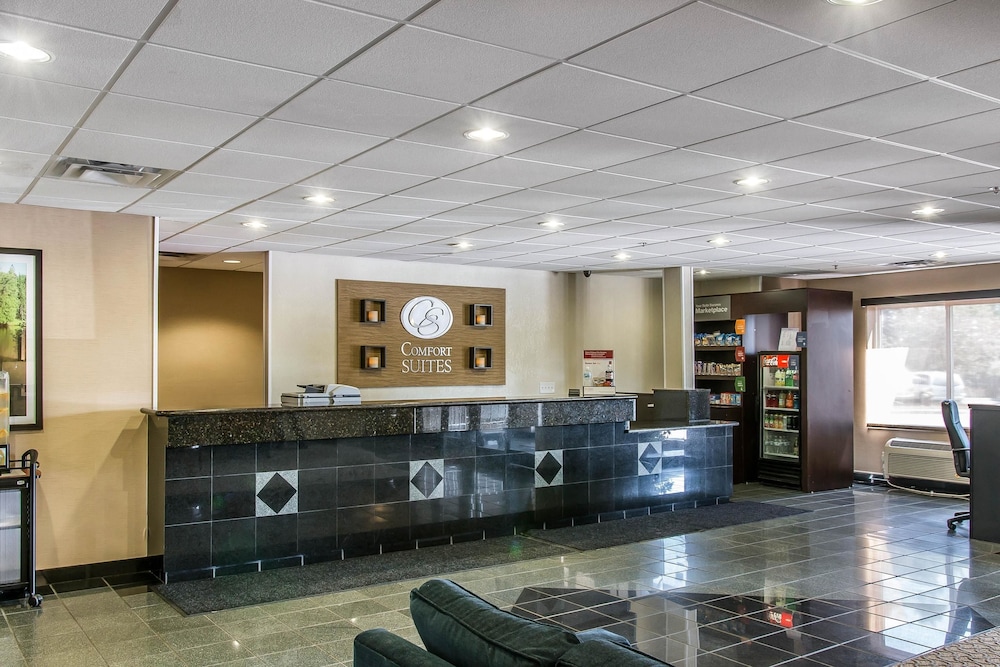 Comfort Suites Wixom - Novi 6/32