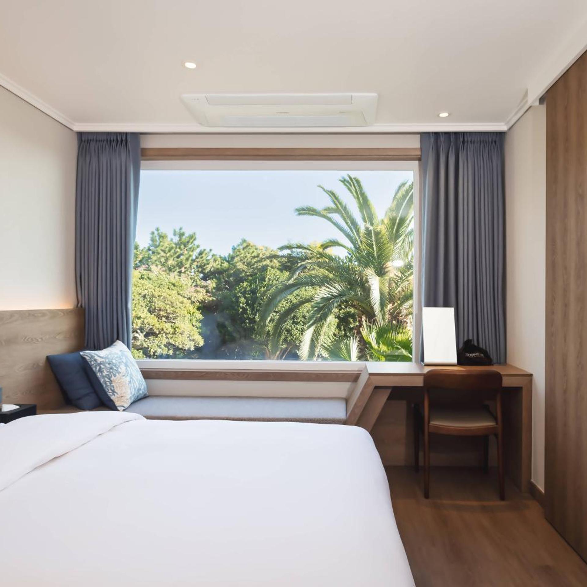 Kensington, Renovated, Premier, Single Bed