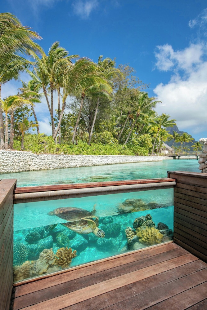 Westin Bora Bora 21/50