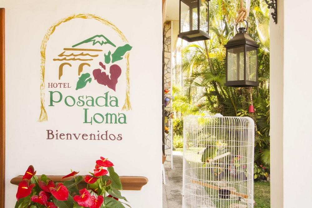 Hotel Posada Loma 11/41