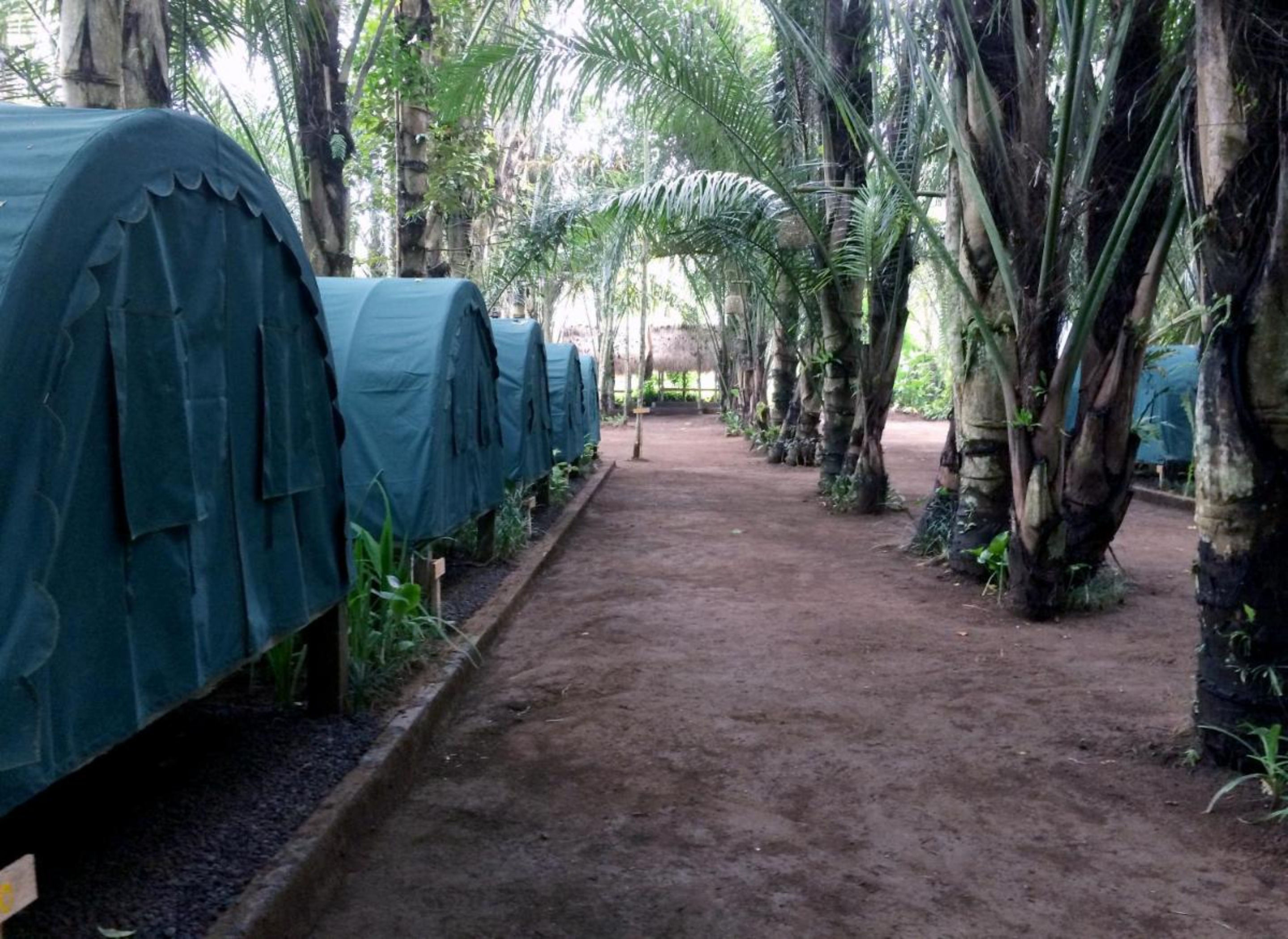 TEGAL DUKUH CAMP 11/16