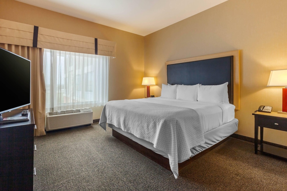 UPGRADE, SUITE, KING BED, SOFA, ACCESSIBLE