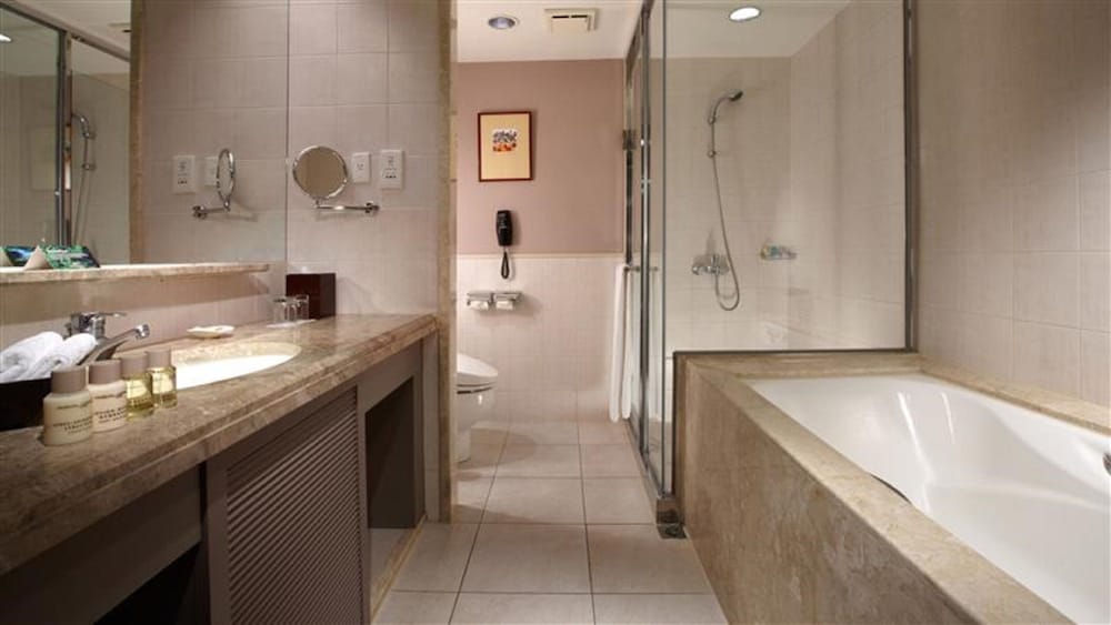 Hotel Royal Hsinchu 17/59