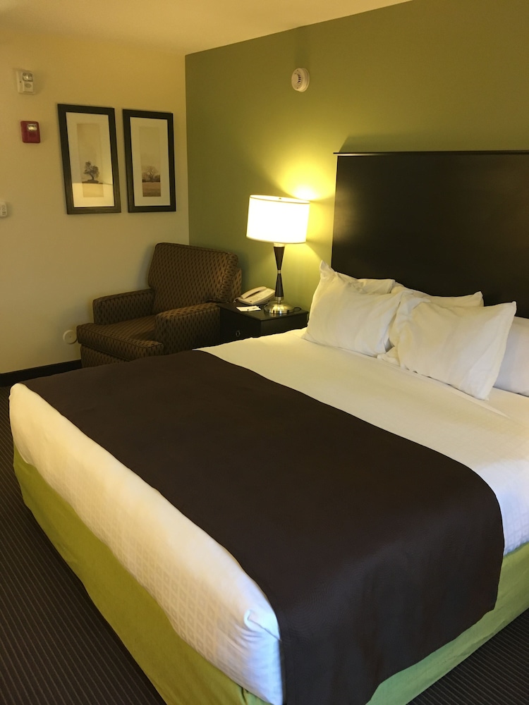 Room, King Bed, Accessible