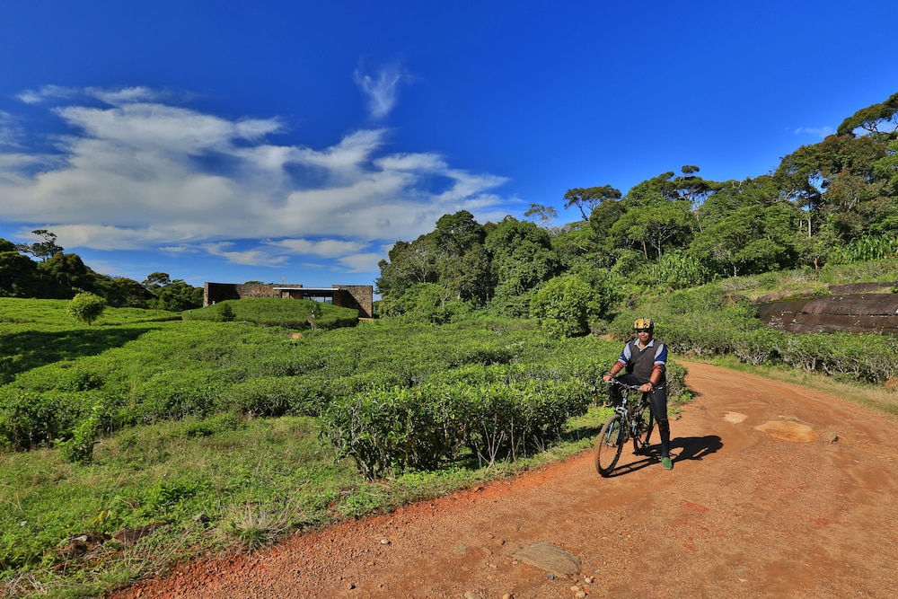 Rainforest Eco Lodge 13/41