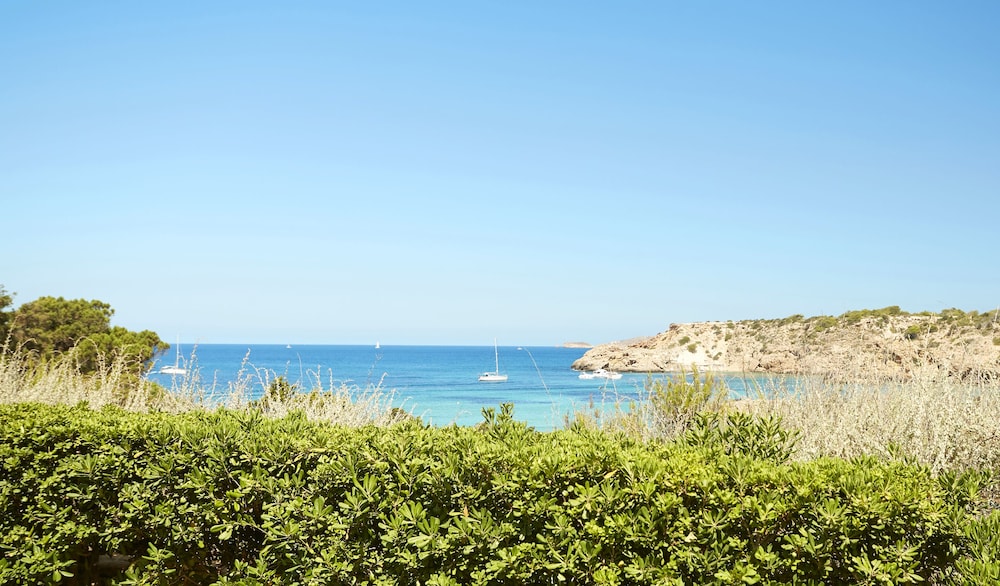 Insotel Club Tarida Playa 42/50