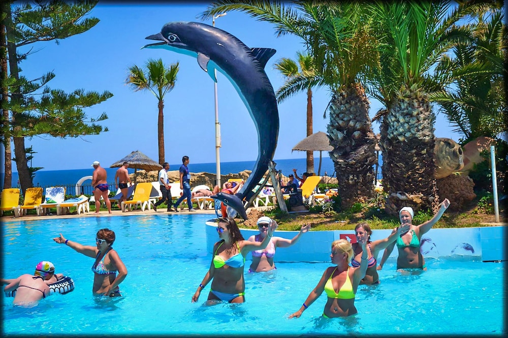 Delphin el Habib 40/50