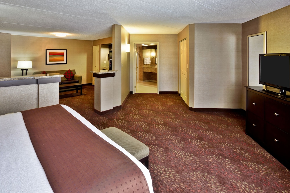 Holiday Inn & Suites Chicago Northwest - Elgin 8/62
