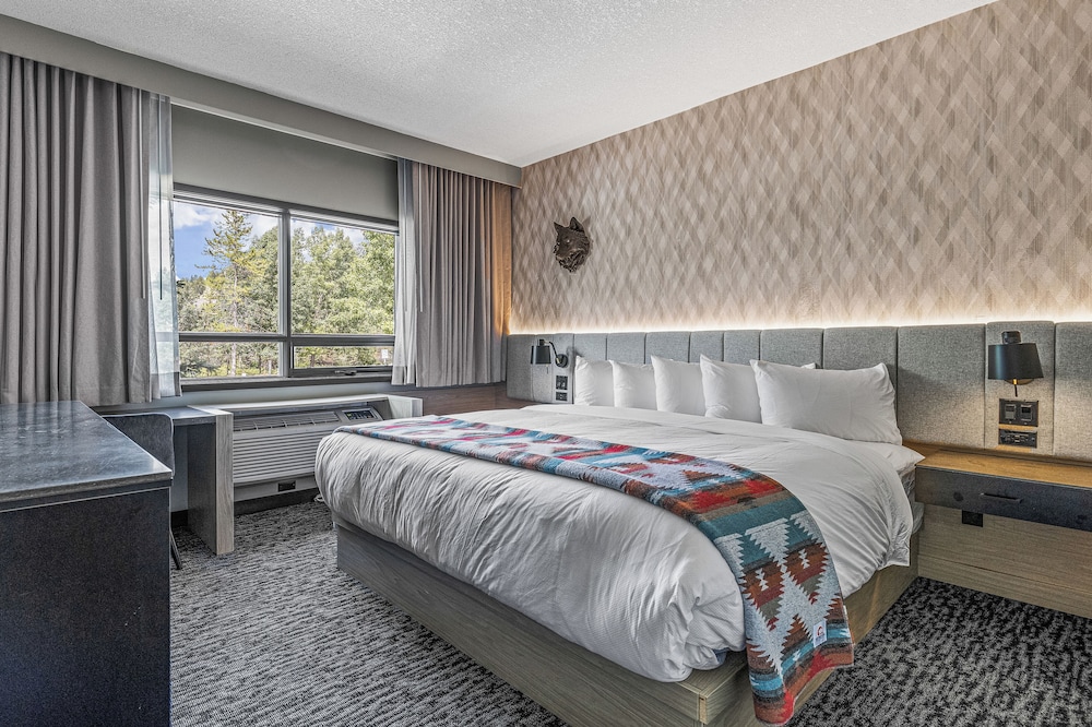 EXECUTIVE, SUITE, PET FRIENDLY