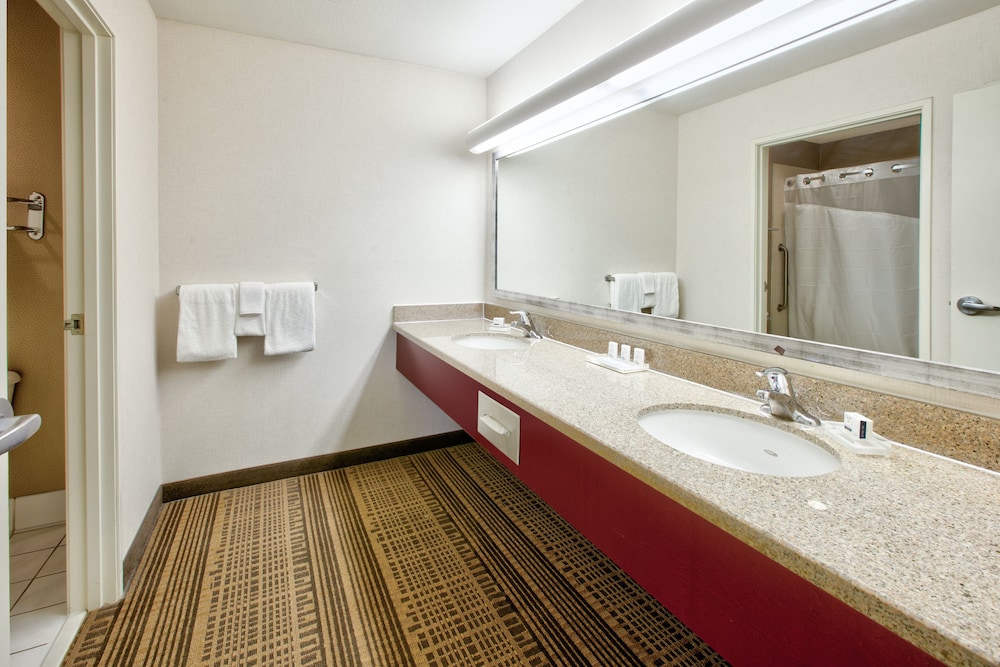 Holiday Inn Hotel And Suites 13/66