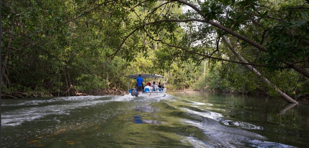 Kayak Lodge 24/40