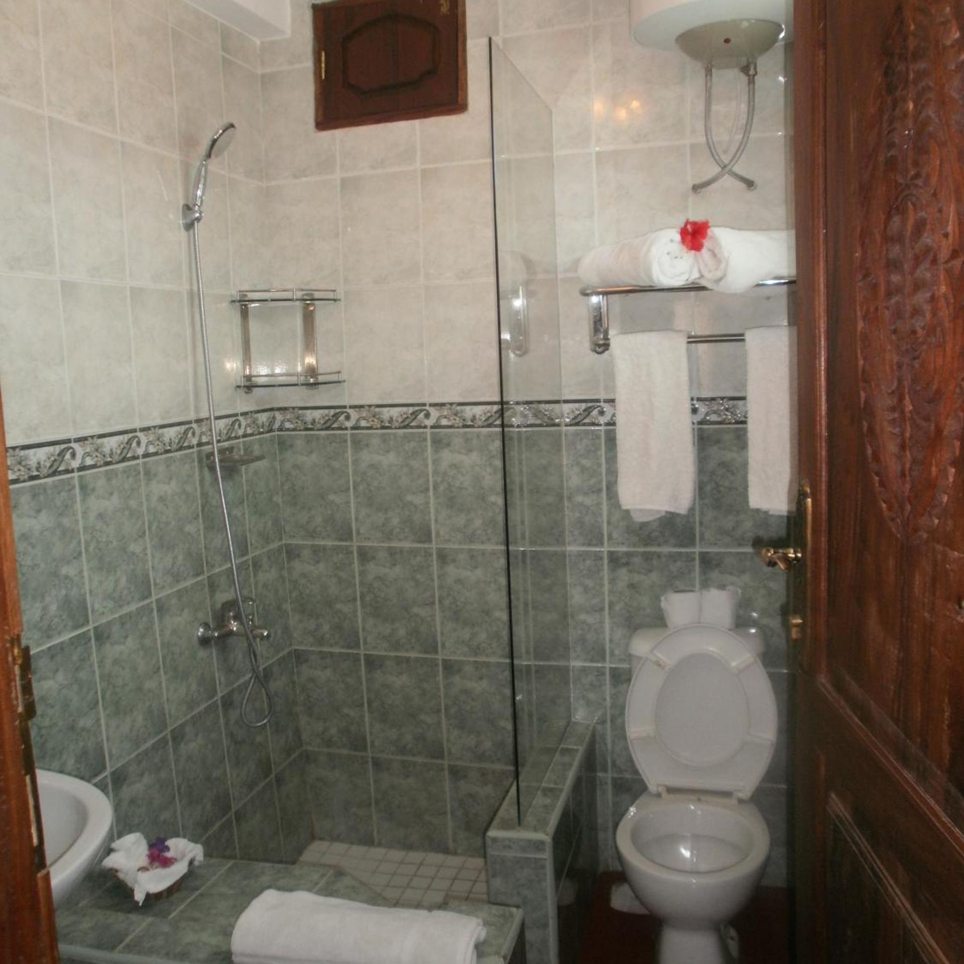 غرفة قياسية بسرير مزدوج أو سريرين منفصلين، Asmini Palace Hotel 8/8