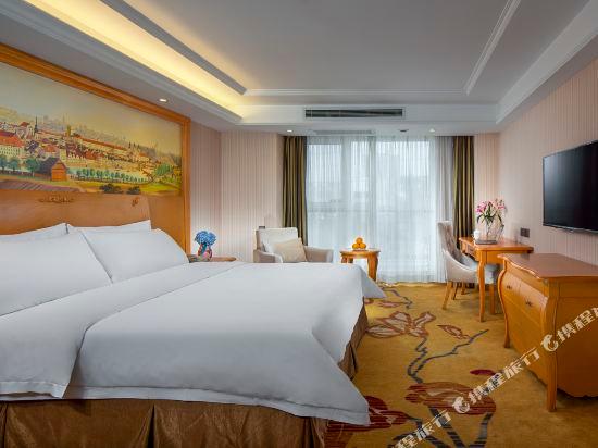 Vienna Hotel (Xi'an West Avenue Sunshine City) 32/54