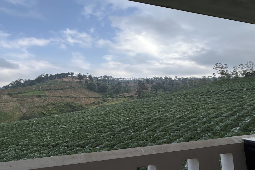 Puncak Darajat Highland by Zuzu 39/50