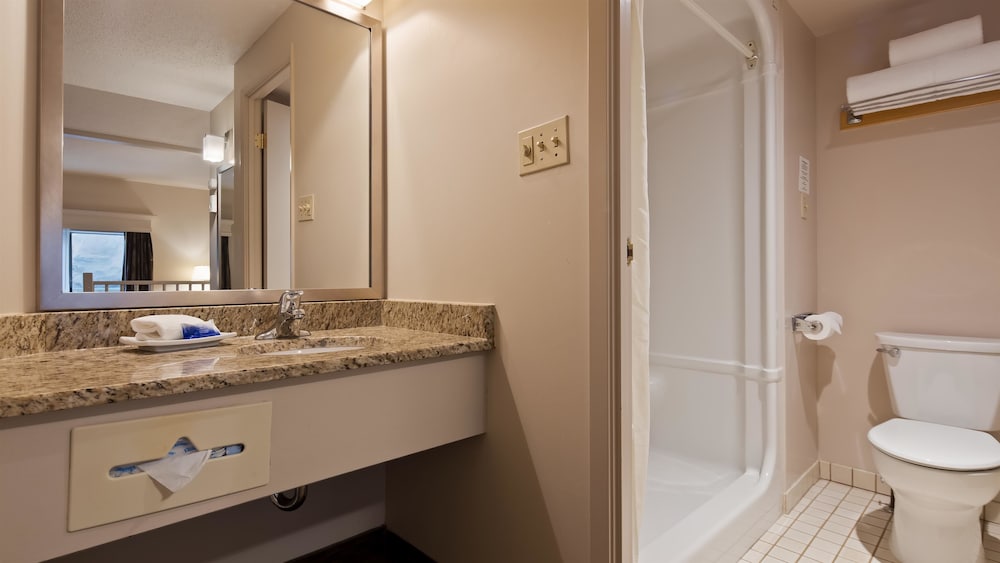 Best Western Plus Lamplighter Inn And Conference Centre 16/44