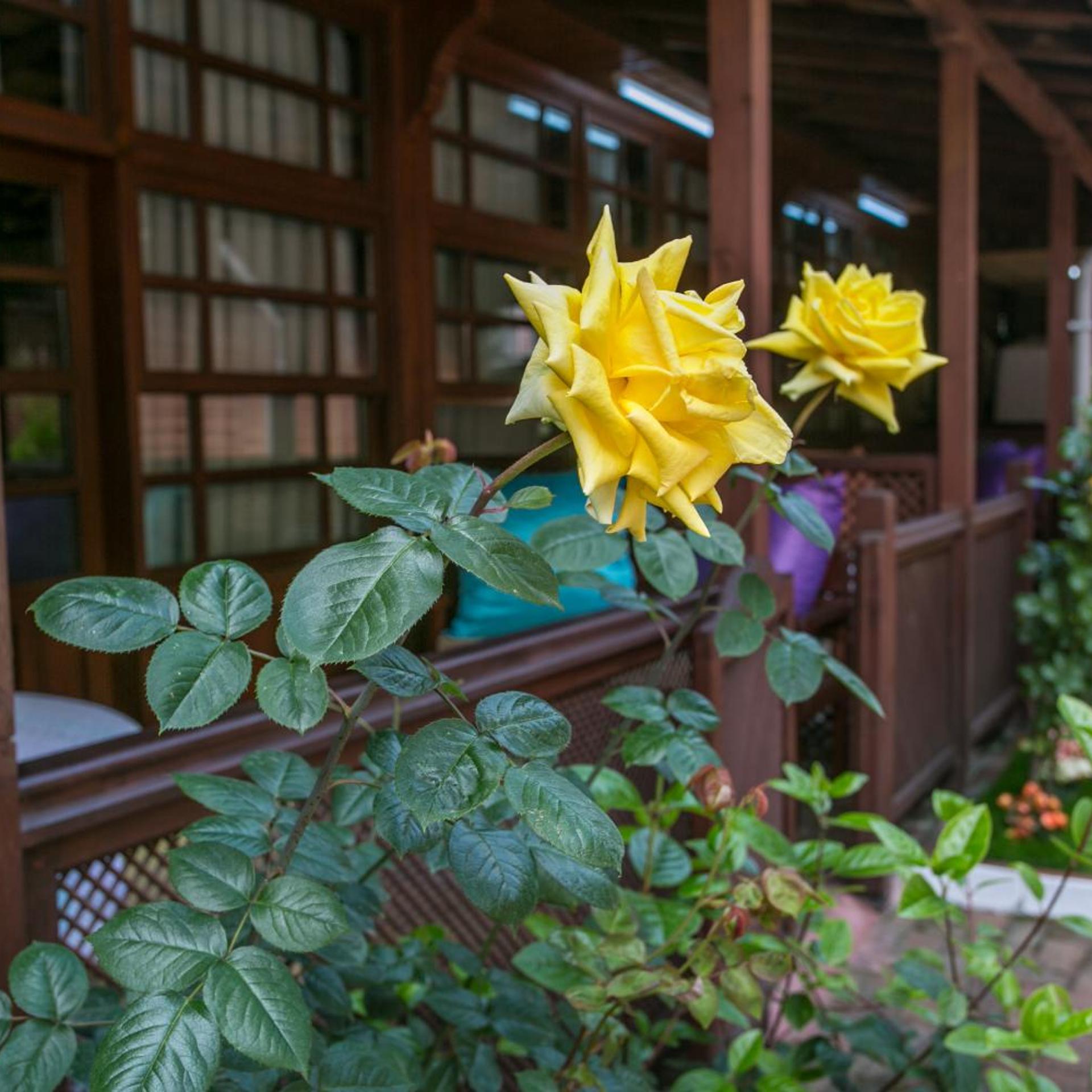 Carsi Otel Pansiyon Amasra 14/28