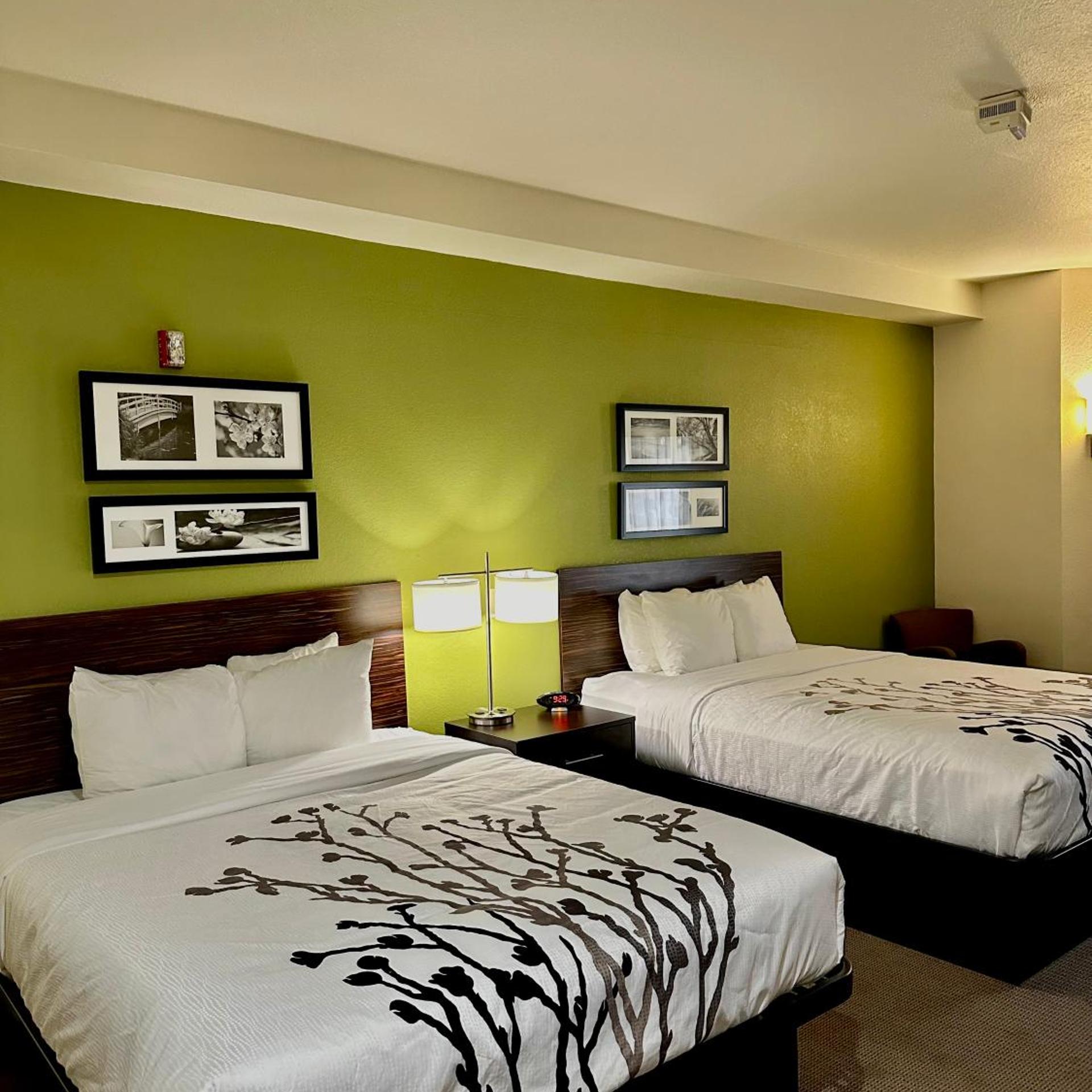 ROOM, 2 DOUBLE BEDS, ACCESSIBLE