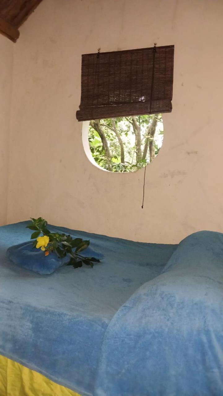La Cima Tayrona 11/31