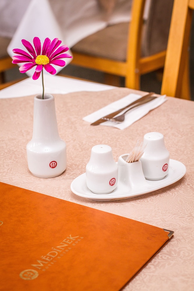 Hotel Medinek Old Town 45/57