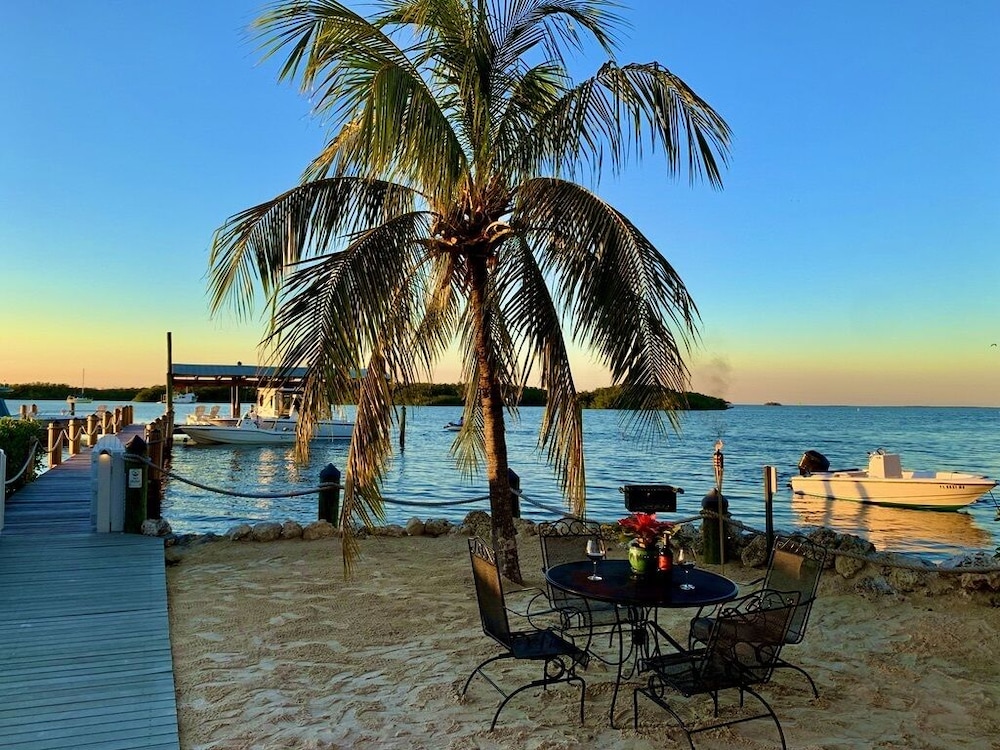 Coconut Palm Inn 47/50