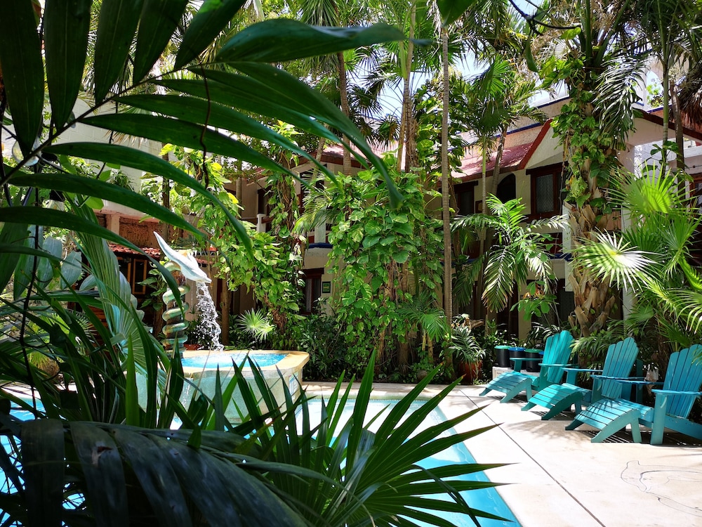 Eco Hotel El Rey del Caribe 43/50