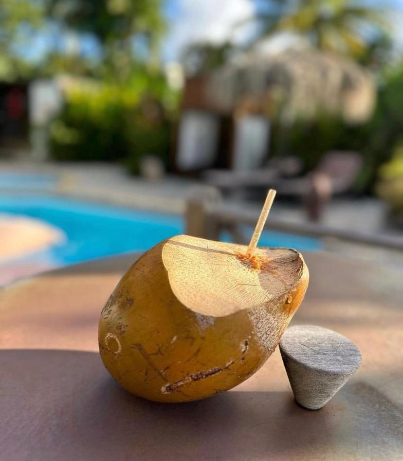 Eden Paradise Spa Ecolodge 19/52