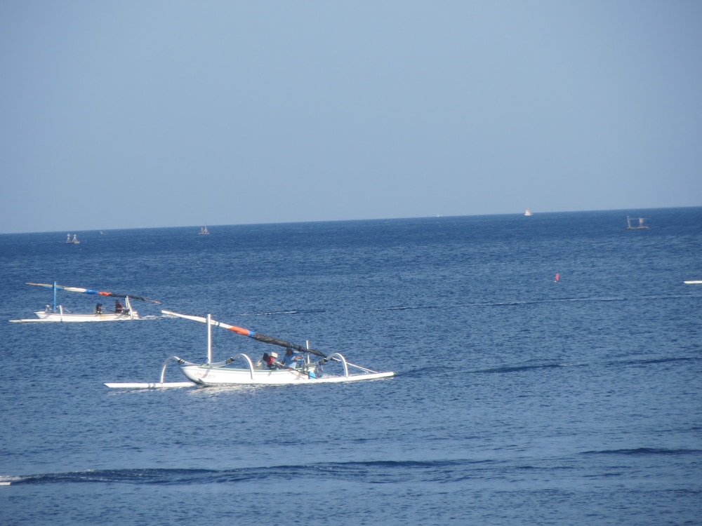 Amed Sari Beach Guesthouse 41/50