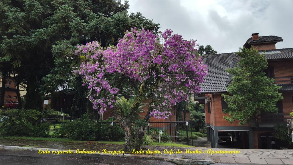 Hotel Pequeno Bosque 2/19