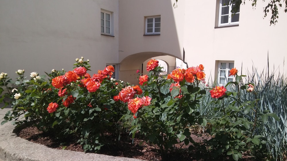 Hotel Domus Maria 44/50