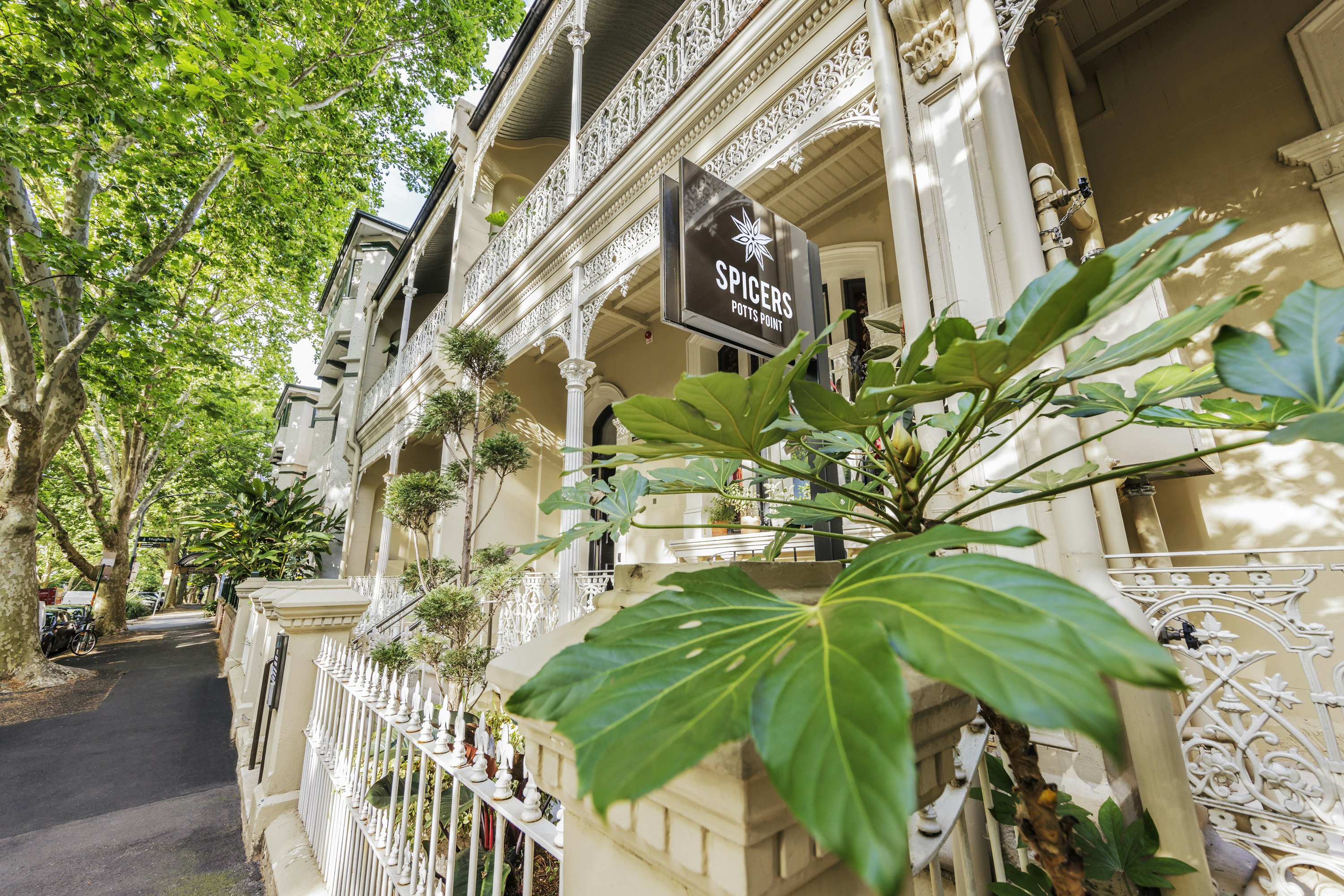 Spicers Potts Point 7/80
