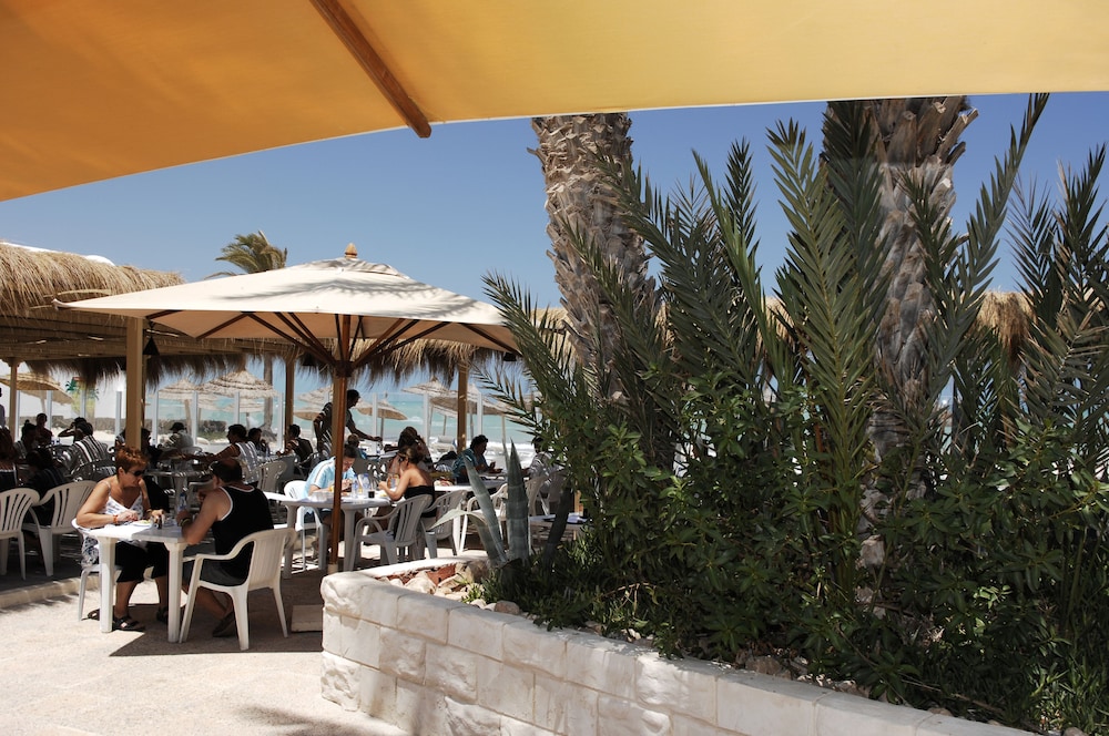 Monarque Dar Jerba Zahra 42/58