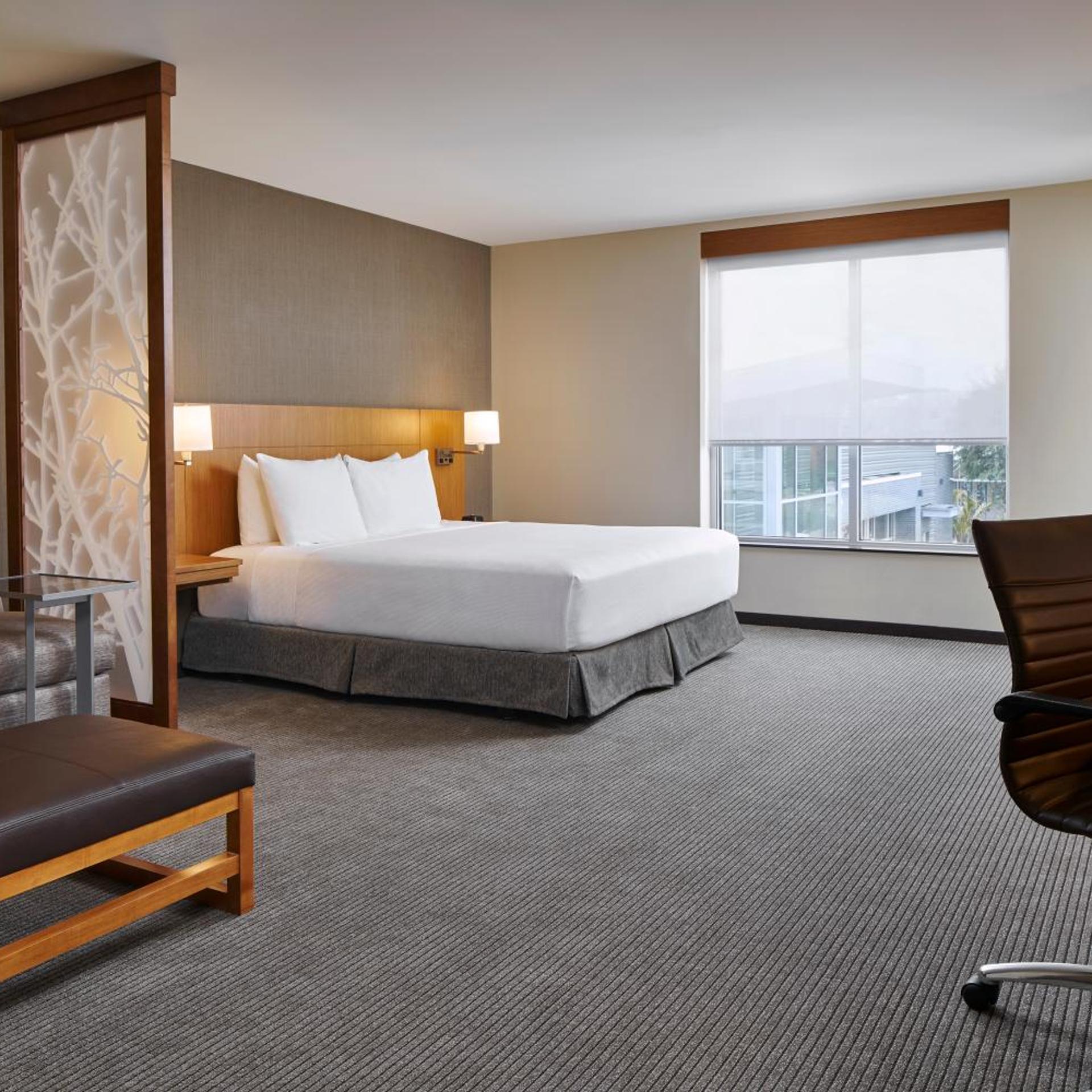 Room, King Bed, with View, Accessible