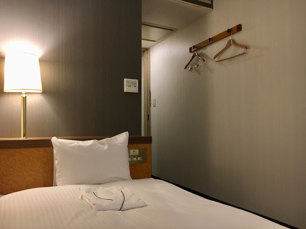 Ueno Terminal Hotel 24/53