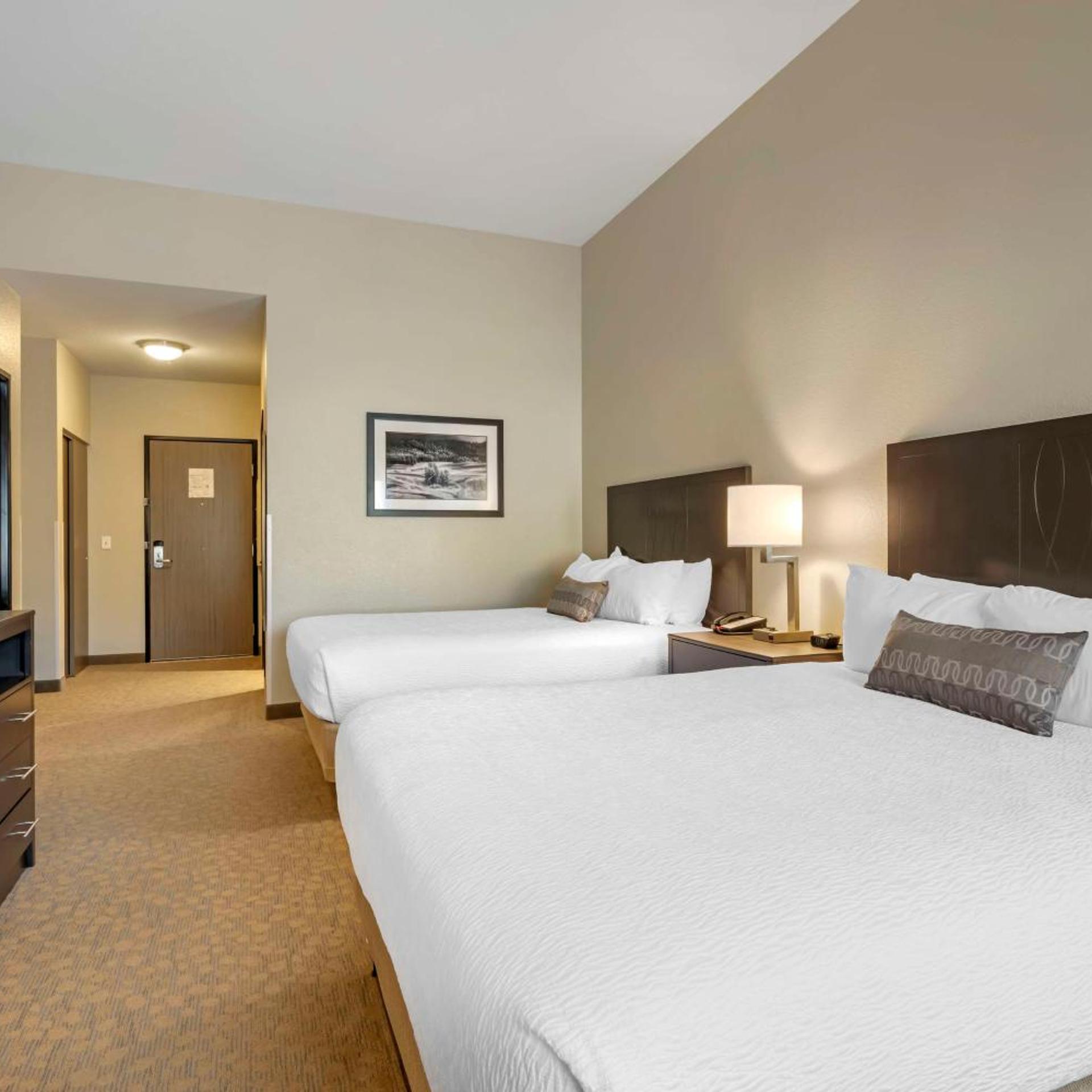 Suite, Queen Bed, Sofa, Accessible
