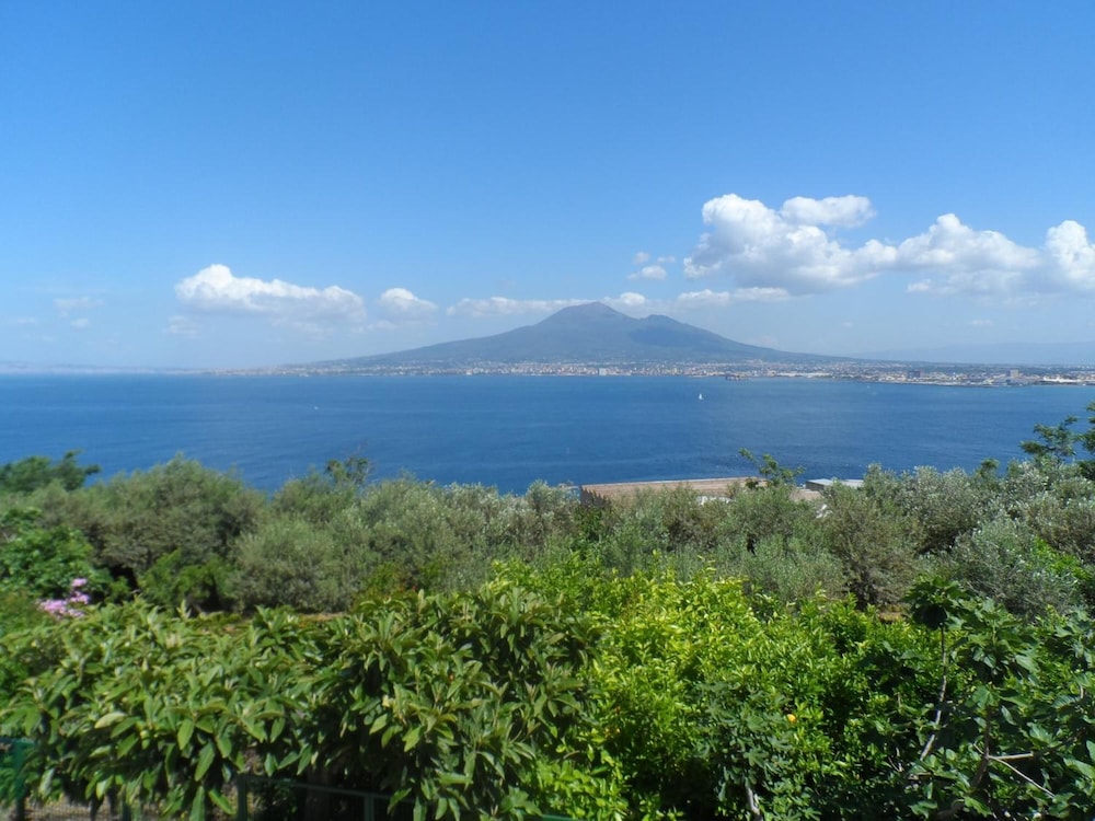 Ancelle Sorrento 32/42