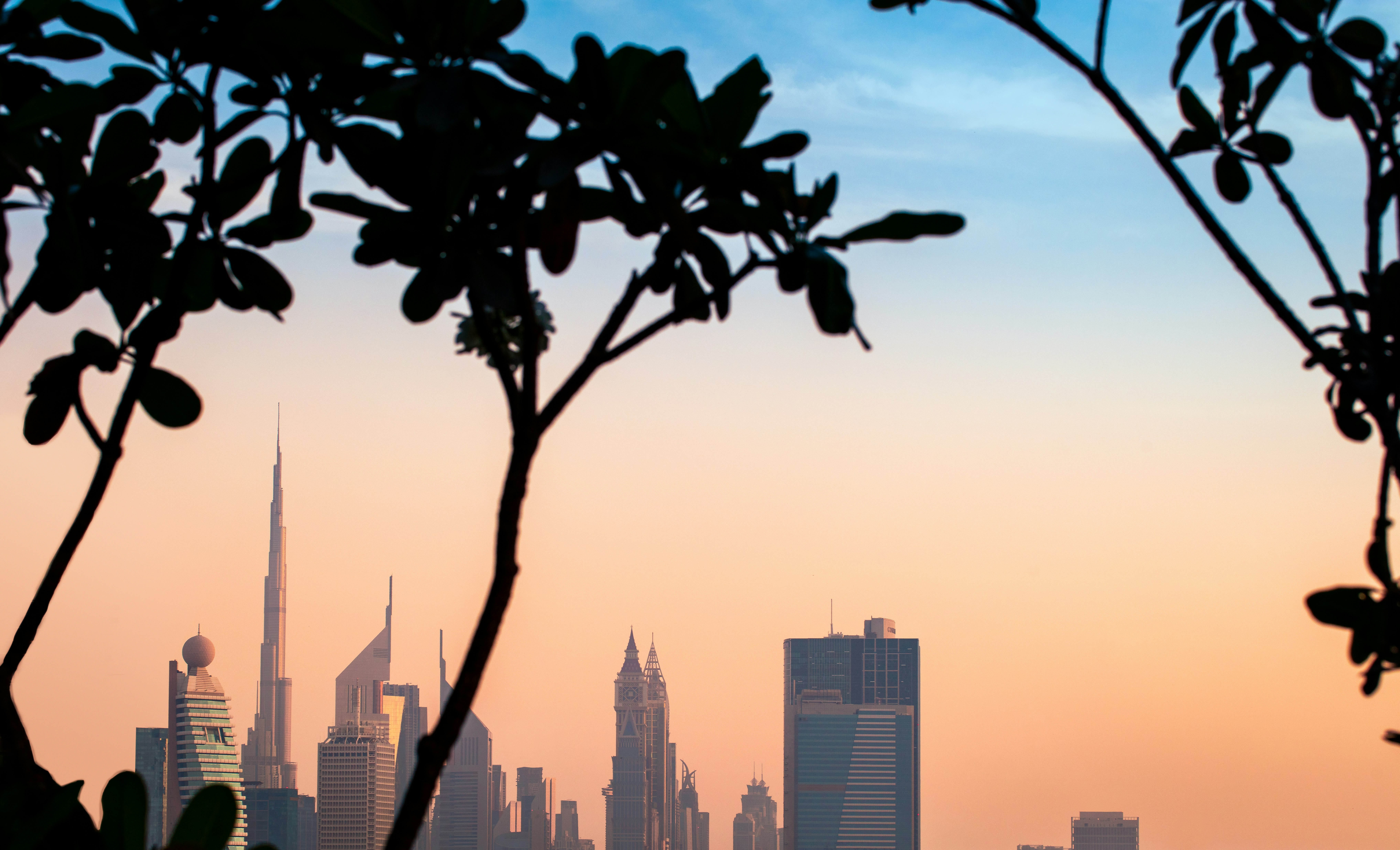 DoubleTree by Hilton Dubai M square Hotel and Residences 27/34