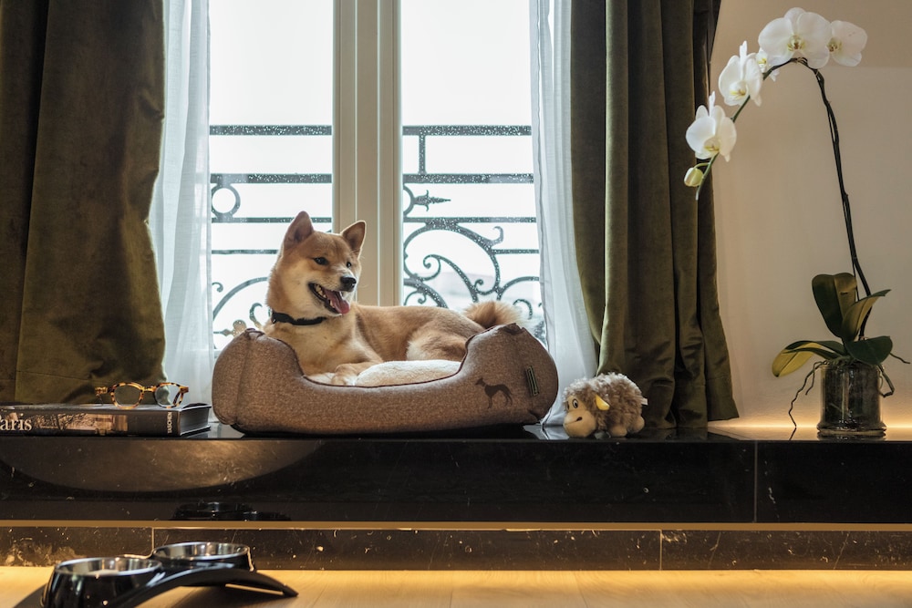 Hyatt Paris Madeleine 36/72