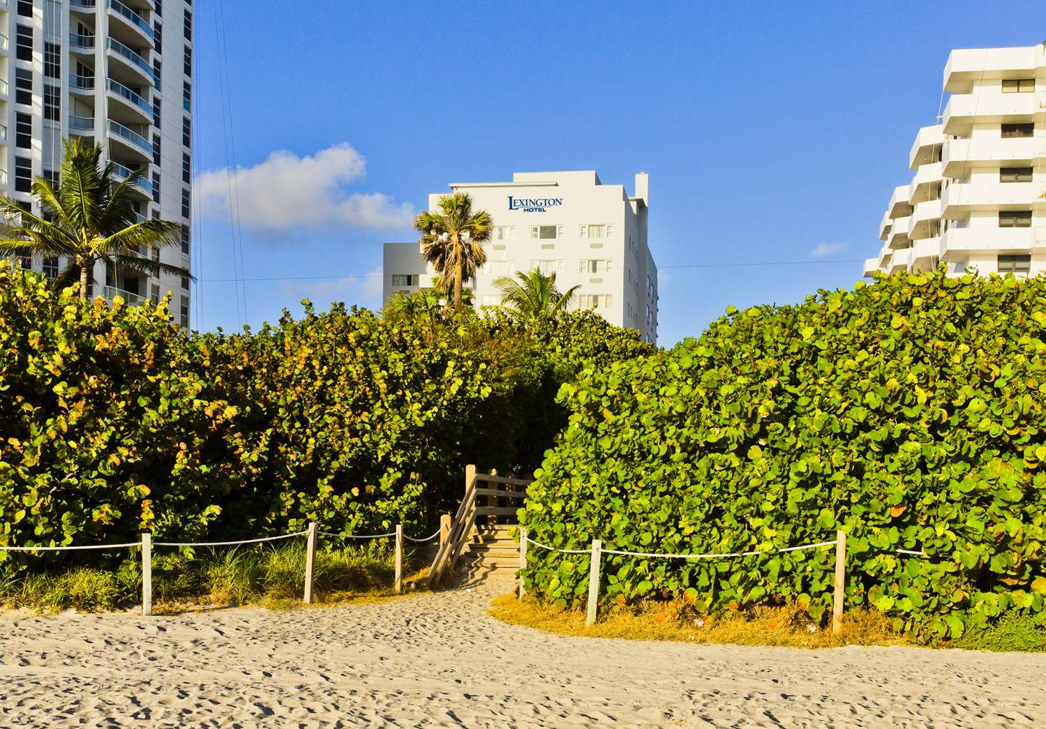 Lexington by Hotel RL Miami Beach 49/52