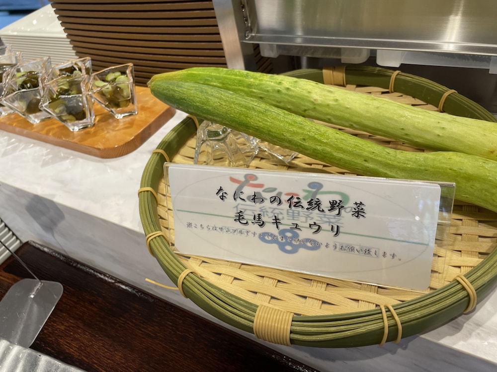 Osaka River-Side Hotel 27/62