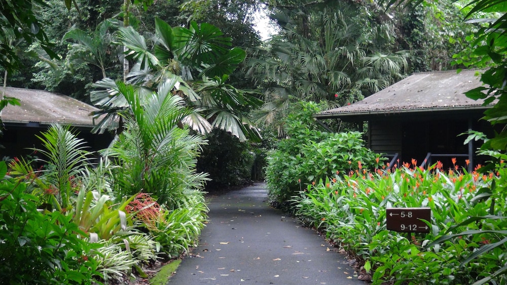 Heritage Lodge In the Daintree 38/53