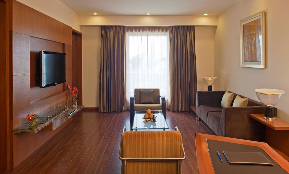 Radisson Blu Plaza Hotel Delhi Airport 48/76