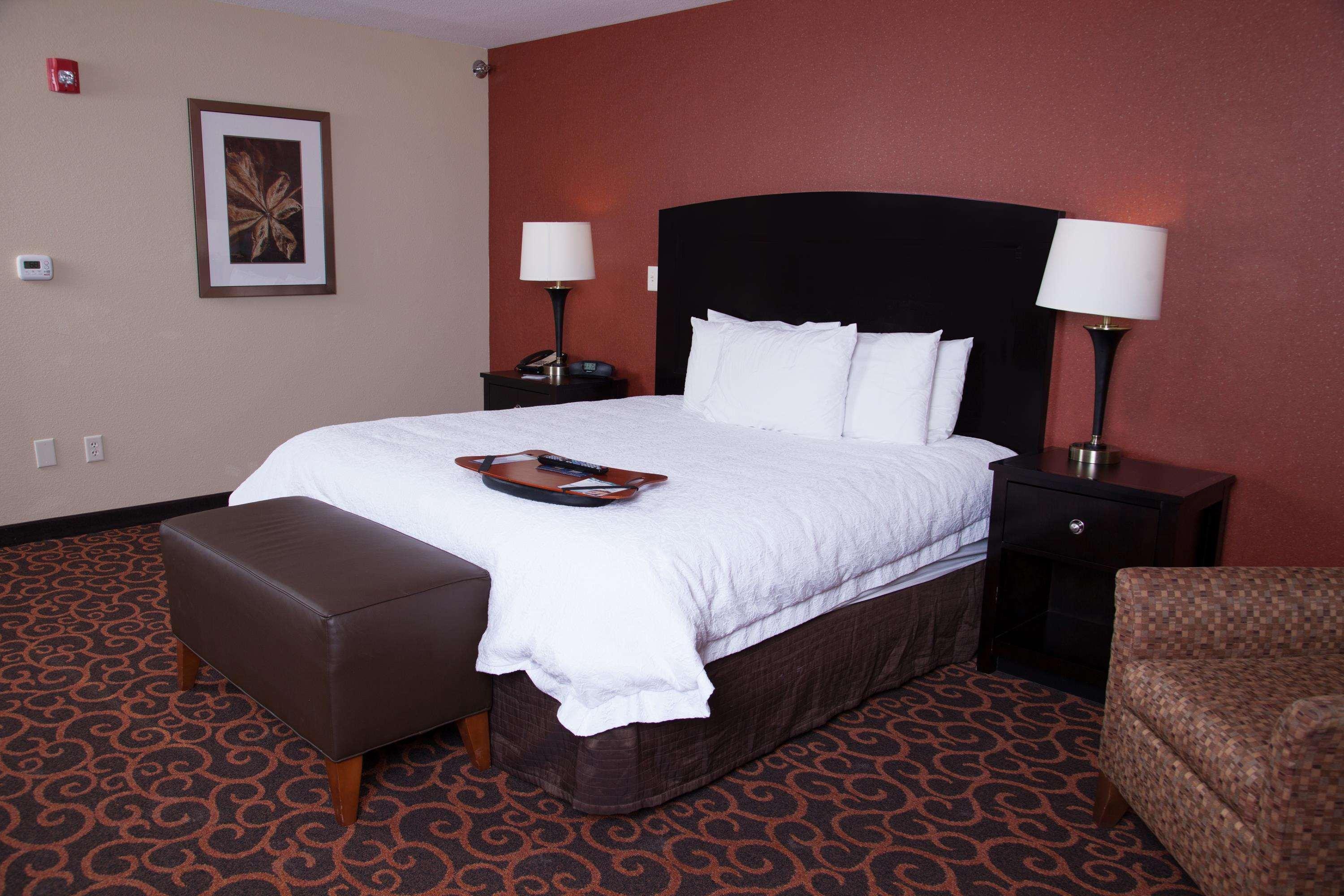 Studio, King Bed, Sofa, Accessible