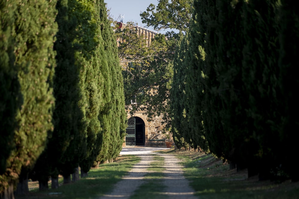 Azienda Agricola Villa Le Prata 37/50