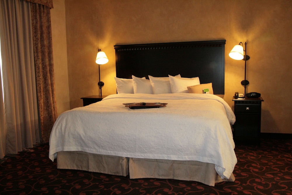 Hampton Inn and Suites Dallas Arlington North Entertainment District 13/45